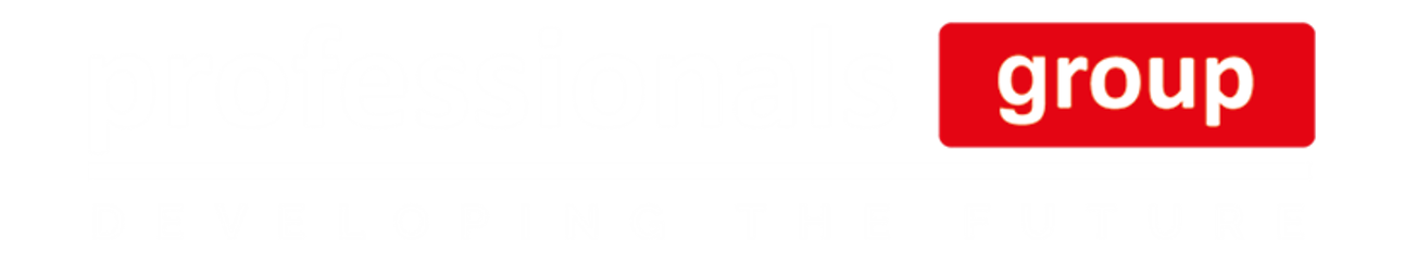 Professionals Group